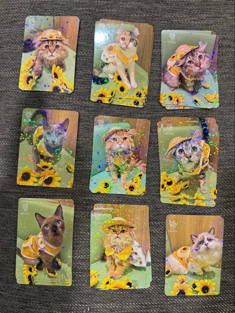 【バラ売り可】にゃんずトレカ松本店 2025