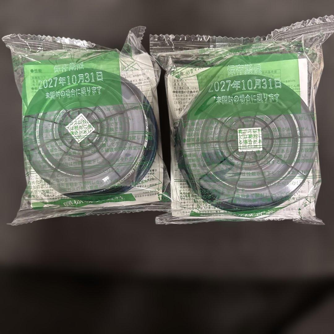 RDG-5 有機ガスフィルター 30個セット