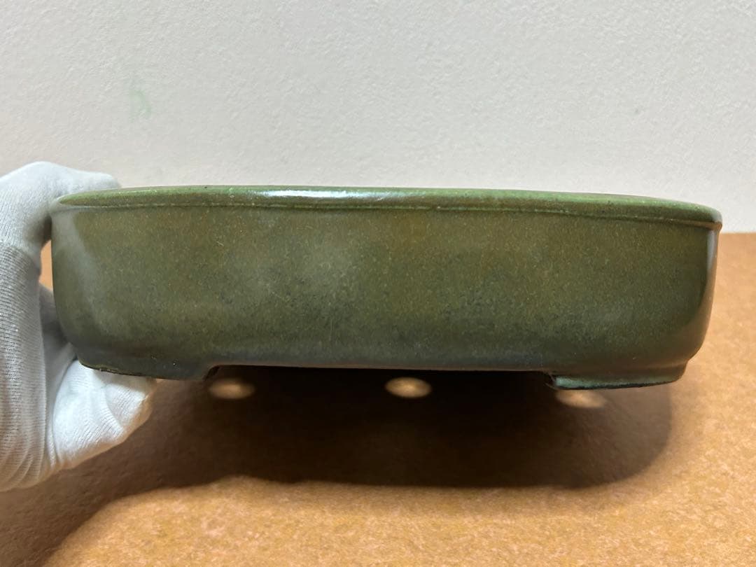 鴻陽　盆栽鉢　小品盆栽　山野草