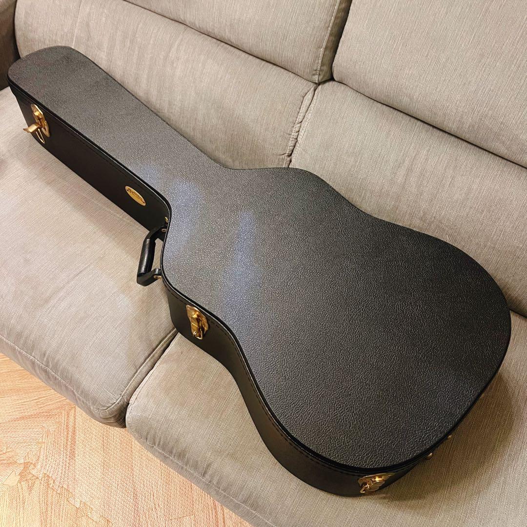 【希少モデル】Martin D-16 Adirondack top カルロス搭載