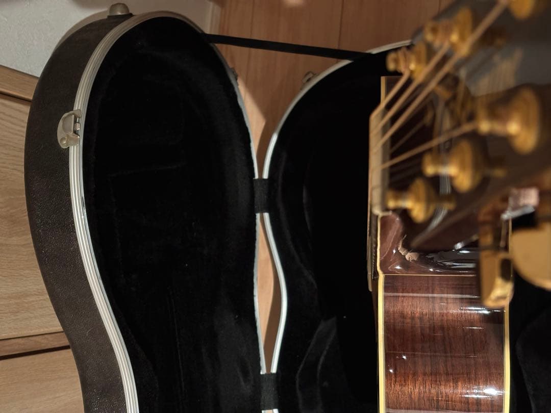 Takamine / DSP015 TBS アコースティックギター 日本製