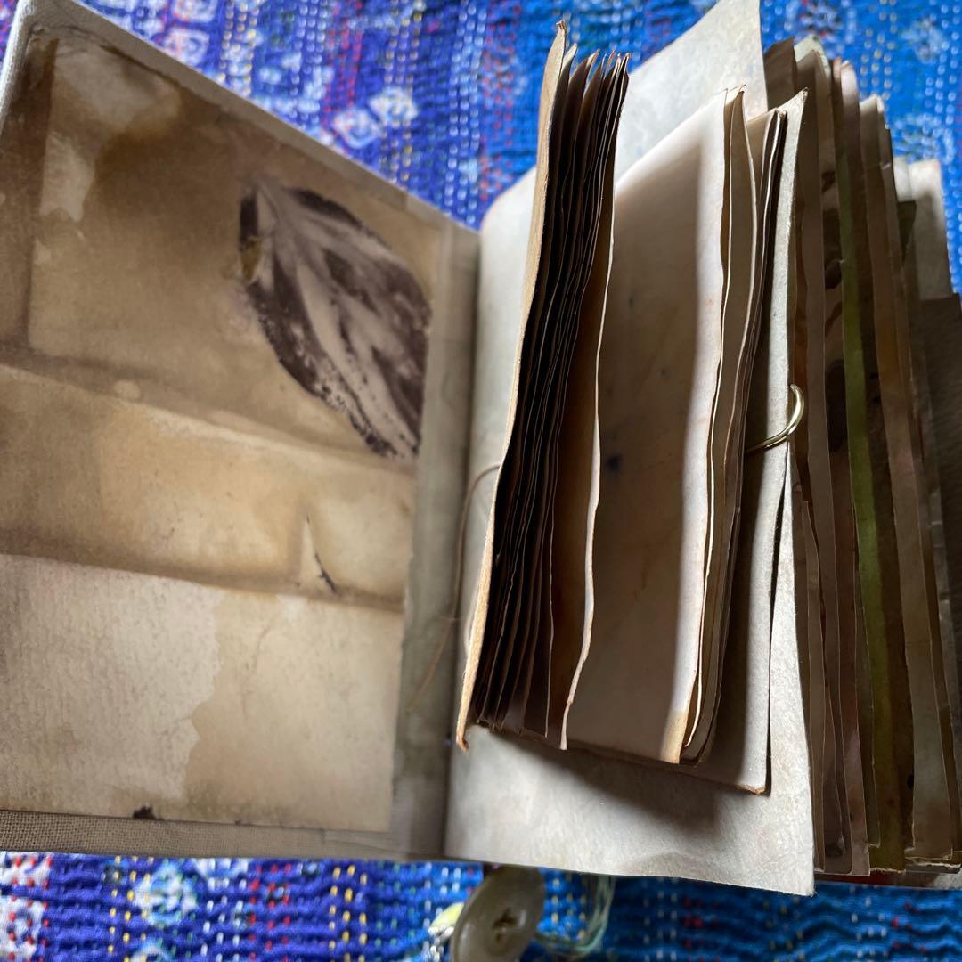 ぱおら様　4月20日　3冊　ジャンクジャーナル