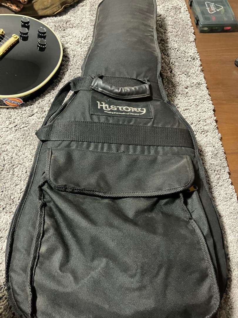 HISTORY DIGNITY レスポール エレキギター　ソフトケース付き