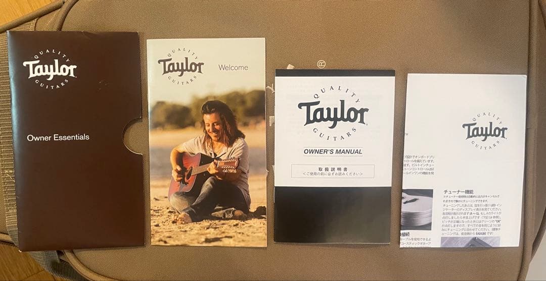 Taylor GS mini-e Mahogany ピックアップ付