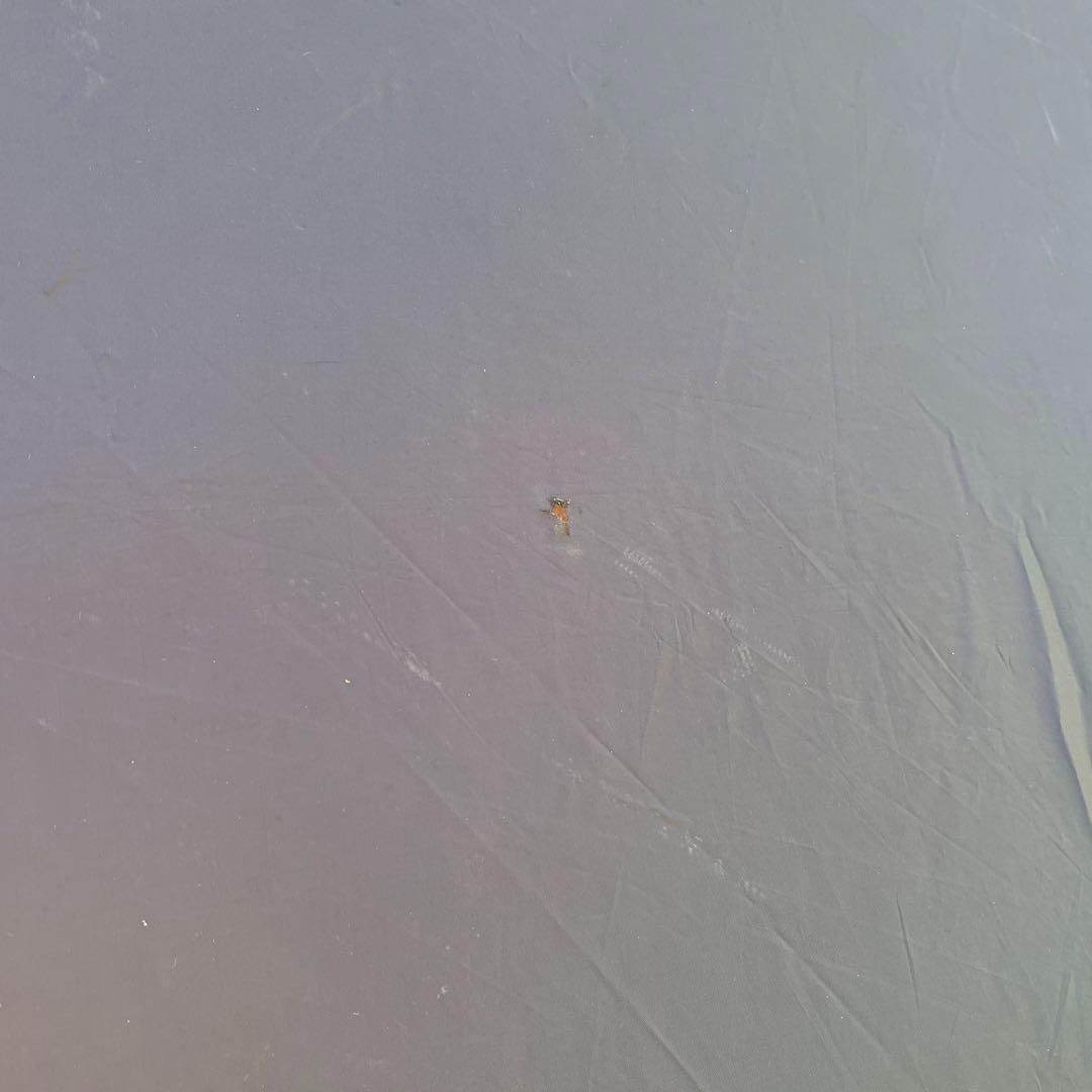 コールマン マスターシリーズ 4S ワイド2ルームエアリウム テント