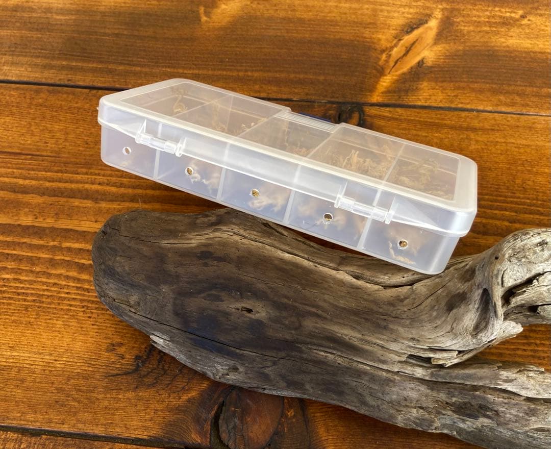 クワガタ採集セット　掻き出し棒　ライト付き　デジタルノギス　懐中電灯　採集ケース