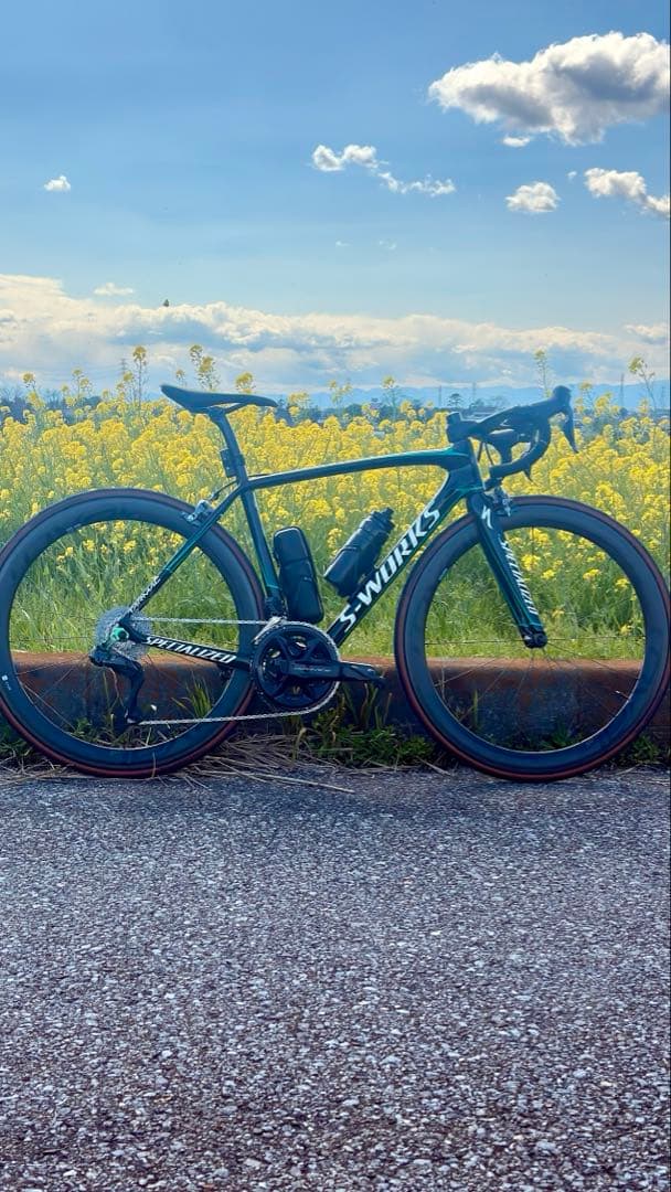 s-works tarmac sl5 bora hansgroheモデル