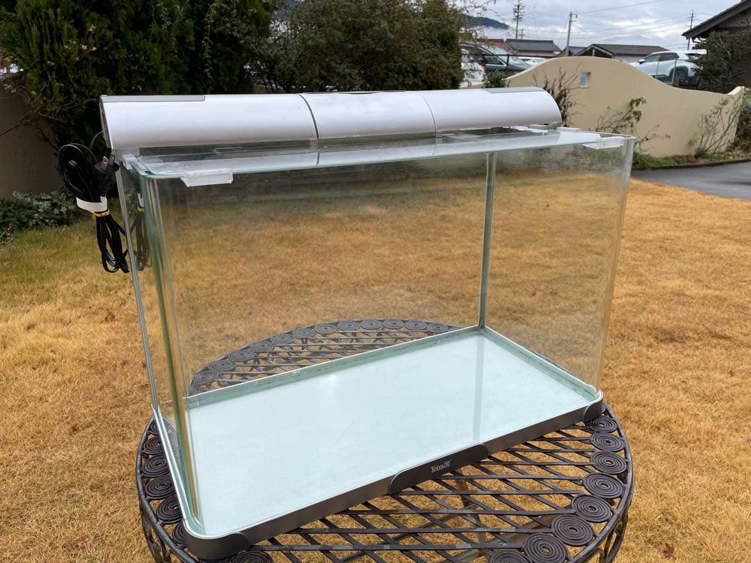 テトラTetra ラウンドグラスアクアリウム　RG-60曲げガラス水槽+ライト付