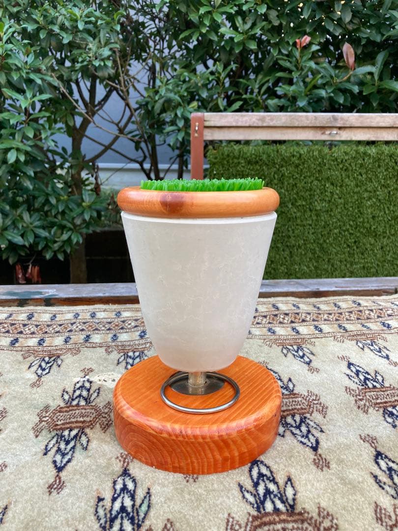 中型ファルコンブロック、猛禽パーチ（屋内用Mサイズ）