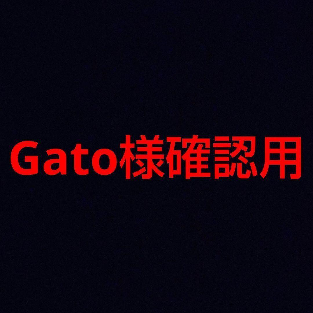 その他 Gato