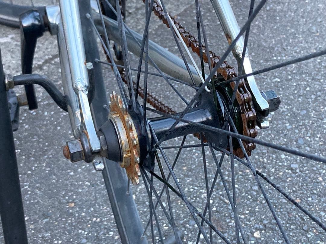 PURE CYCLES ピュアサイクルズ ピストバイク フリーor固定 Wコグ