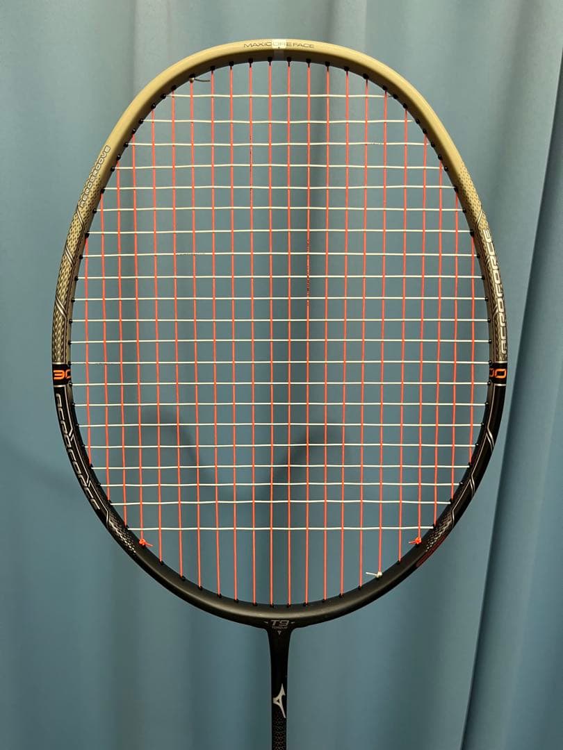 アクロフォース300 4u6