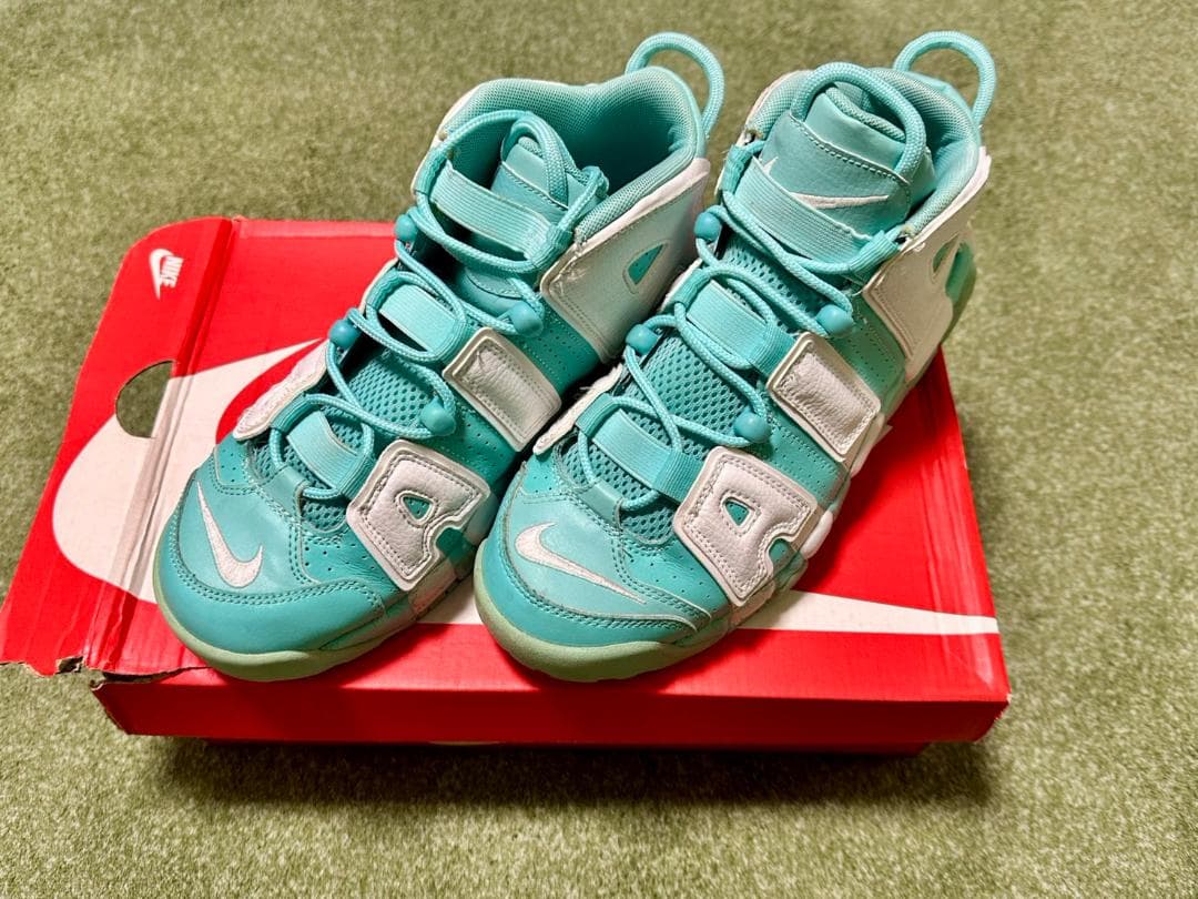 Nike バスケットボールシューズ ティール/ホワイト