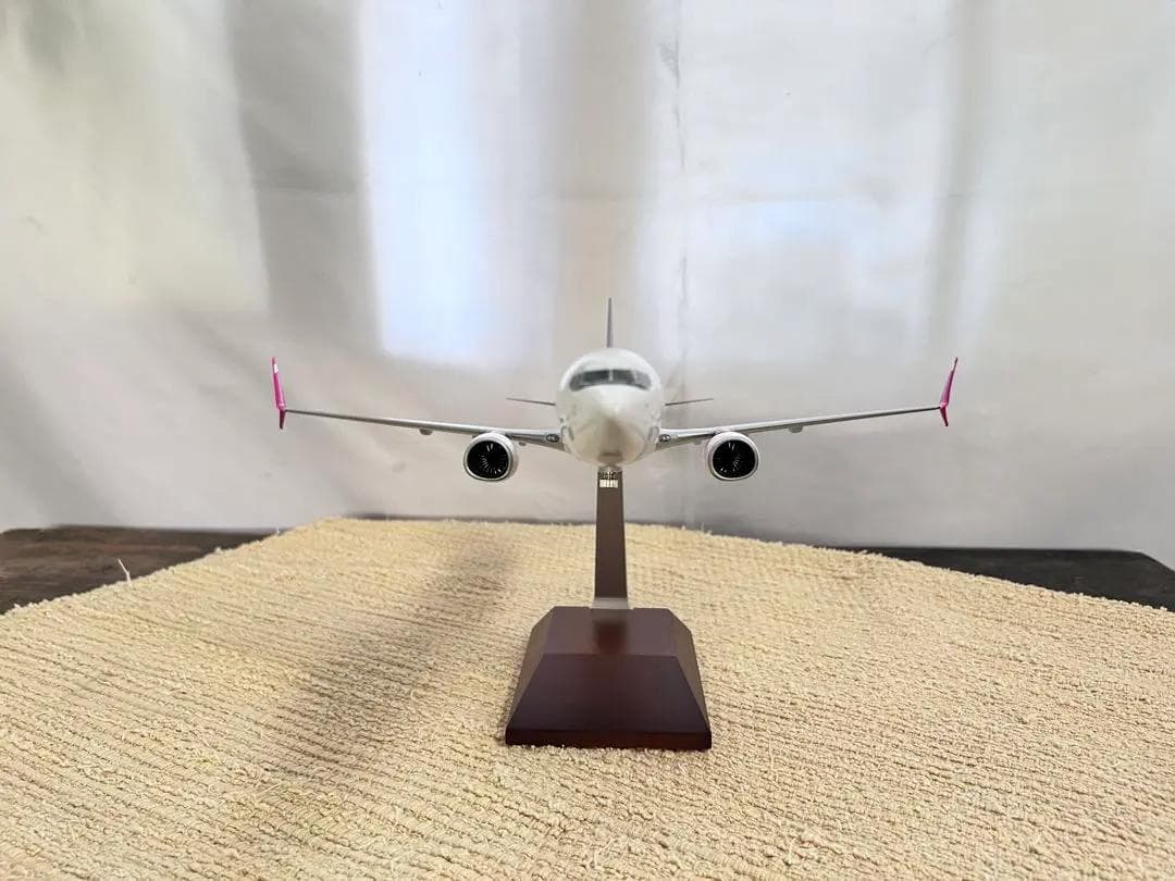 DARON / ダロン｜SWOOP / スウープ｜B737-800｜1/100