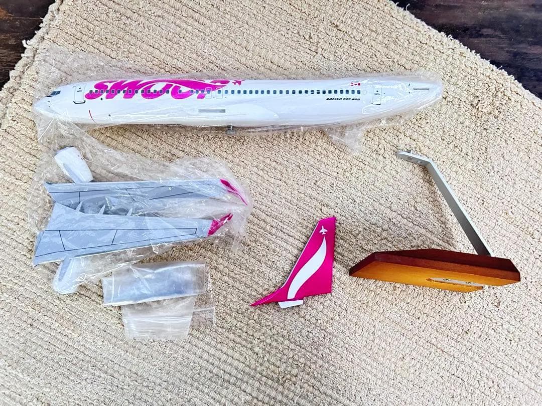 DARON / ダロン｜SWOOP / スウープ｜B737-800｜1/100