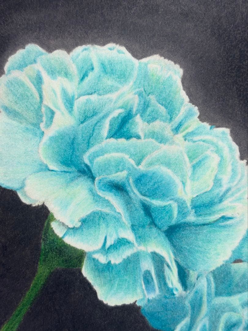 【ラゴス】輝きのエメラルドカーネーション(額装無し)