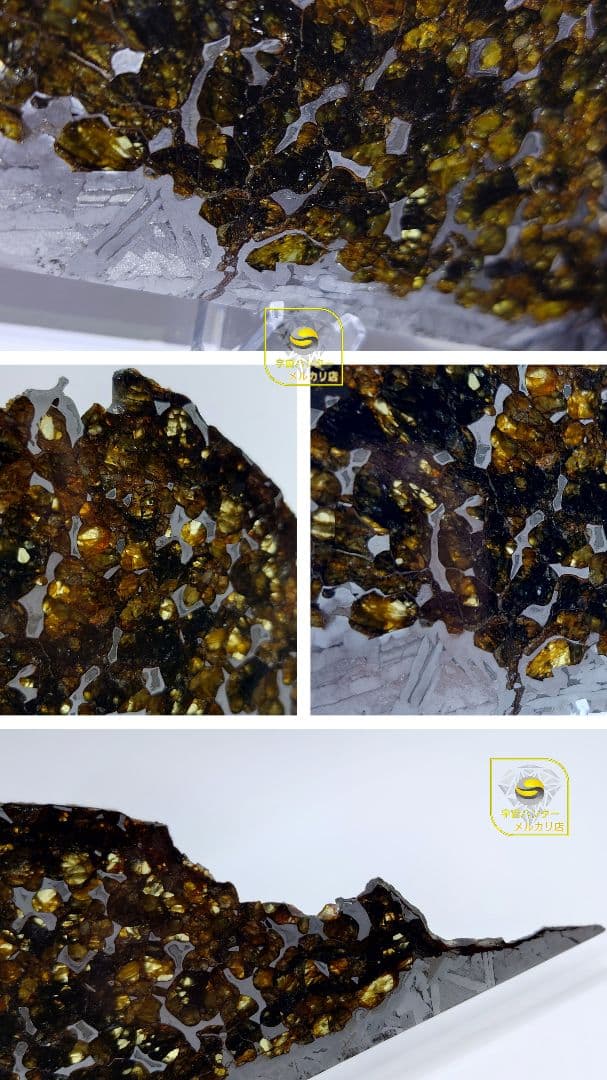 隕石 セイムチャン パラサイト 117.3g ⭐