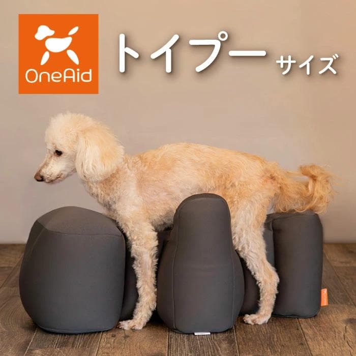 リラクッション　トイプードルサイズ