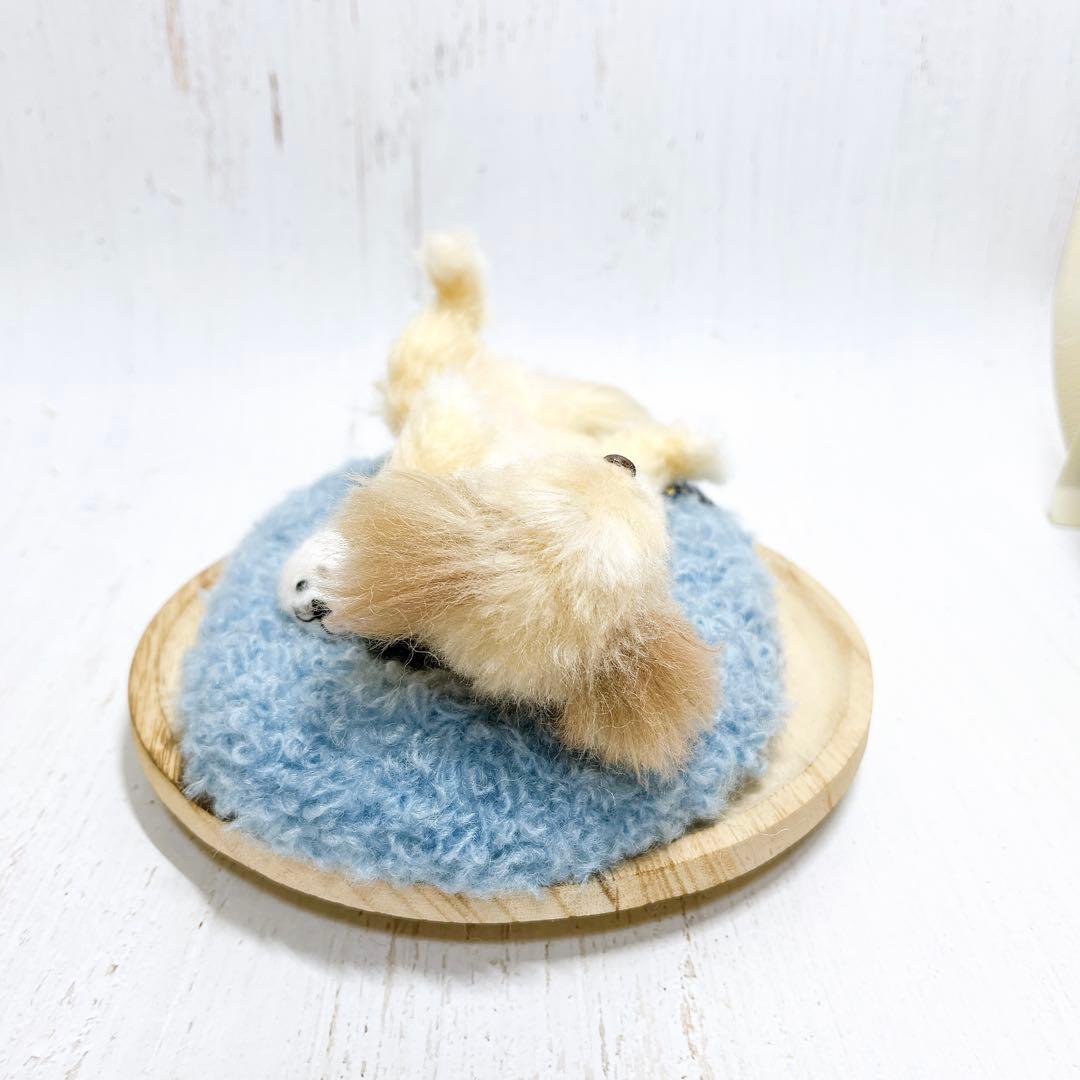 羊毛フェルト 犬 マルプー トイプードル ミックス犬