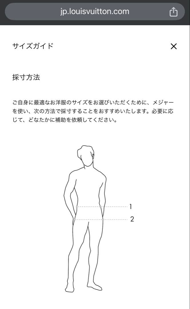 ♦︎水着♦︎ LOUIS VUITTON 3Dポケットモノグラムボードショーツ