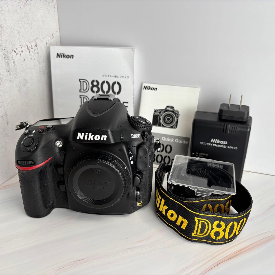 【チョメ山城】Nikon D800 《ショット数2233回》