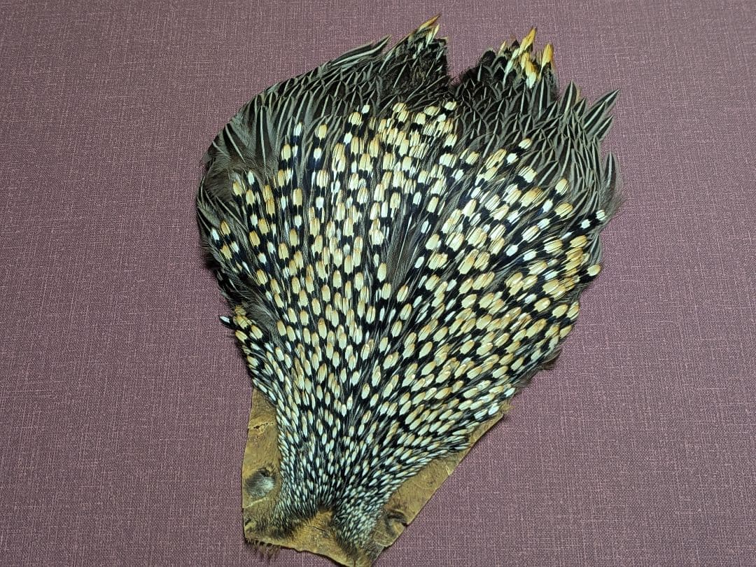 ジャングルコック