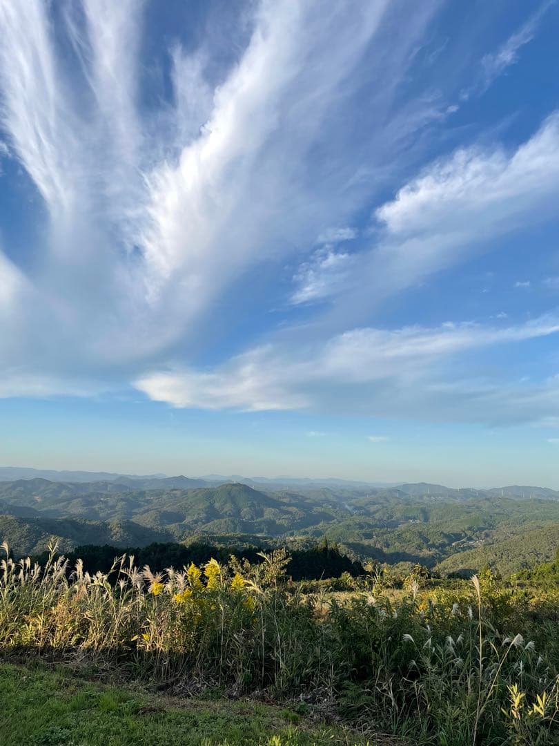 Nikon D5300「Jun'ly」