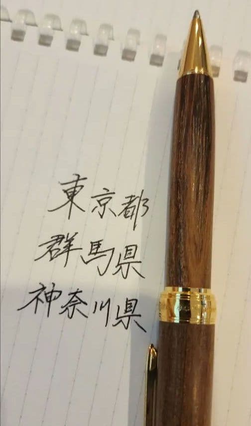 カスタム 槐（えんじゅ) ボールペン