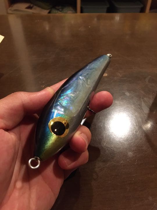 カーペンター　ブルーフィッシュ ディアブロ60-170