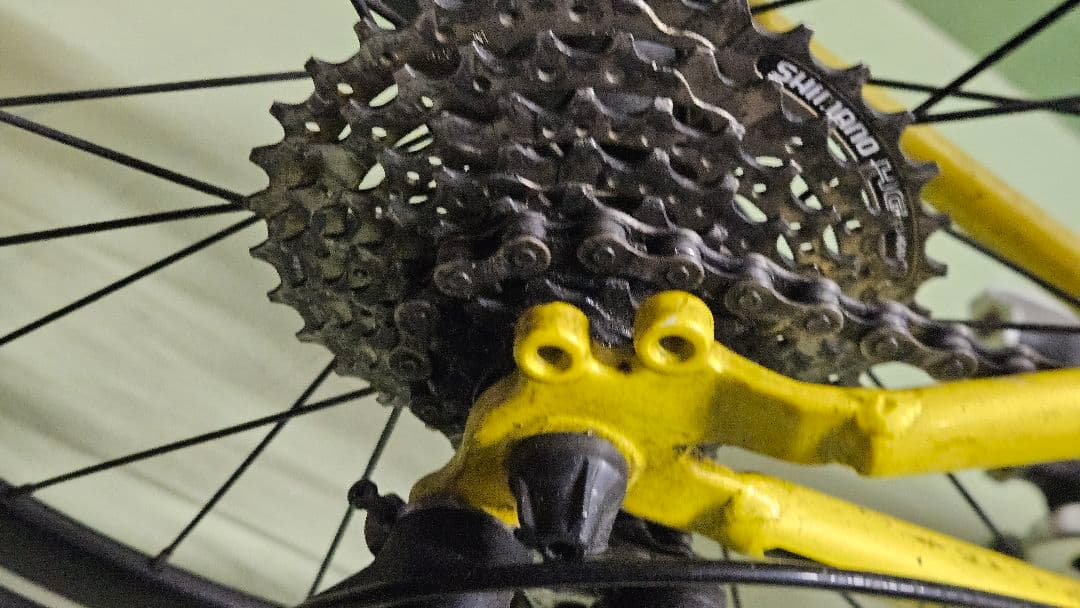 s*g様 ダホン　スピードファルコ　折り畳み自転車　おまけ付き