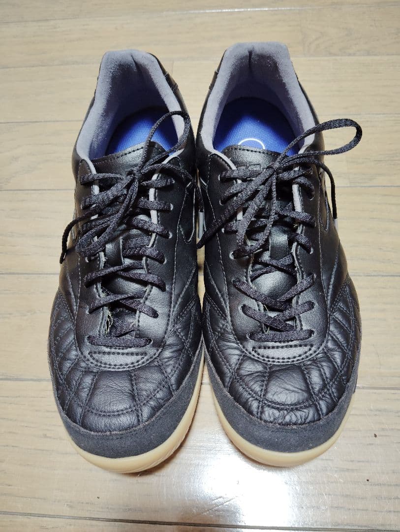 Morelia sala japan モレリアサラ ジャパン in　25cm