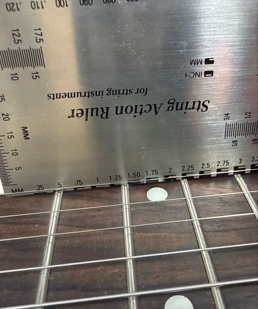 Maestro by Gibson SG（セット）