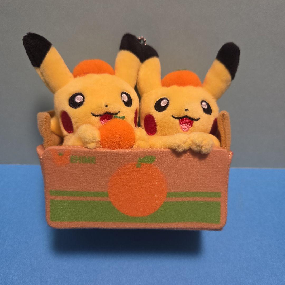 ポケモンセンター 愛媛限定 みかん ペアピカチュウ