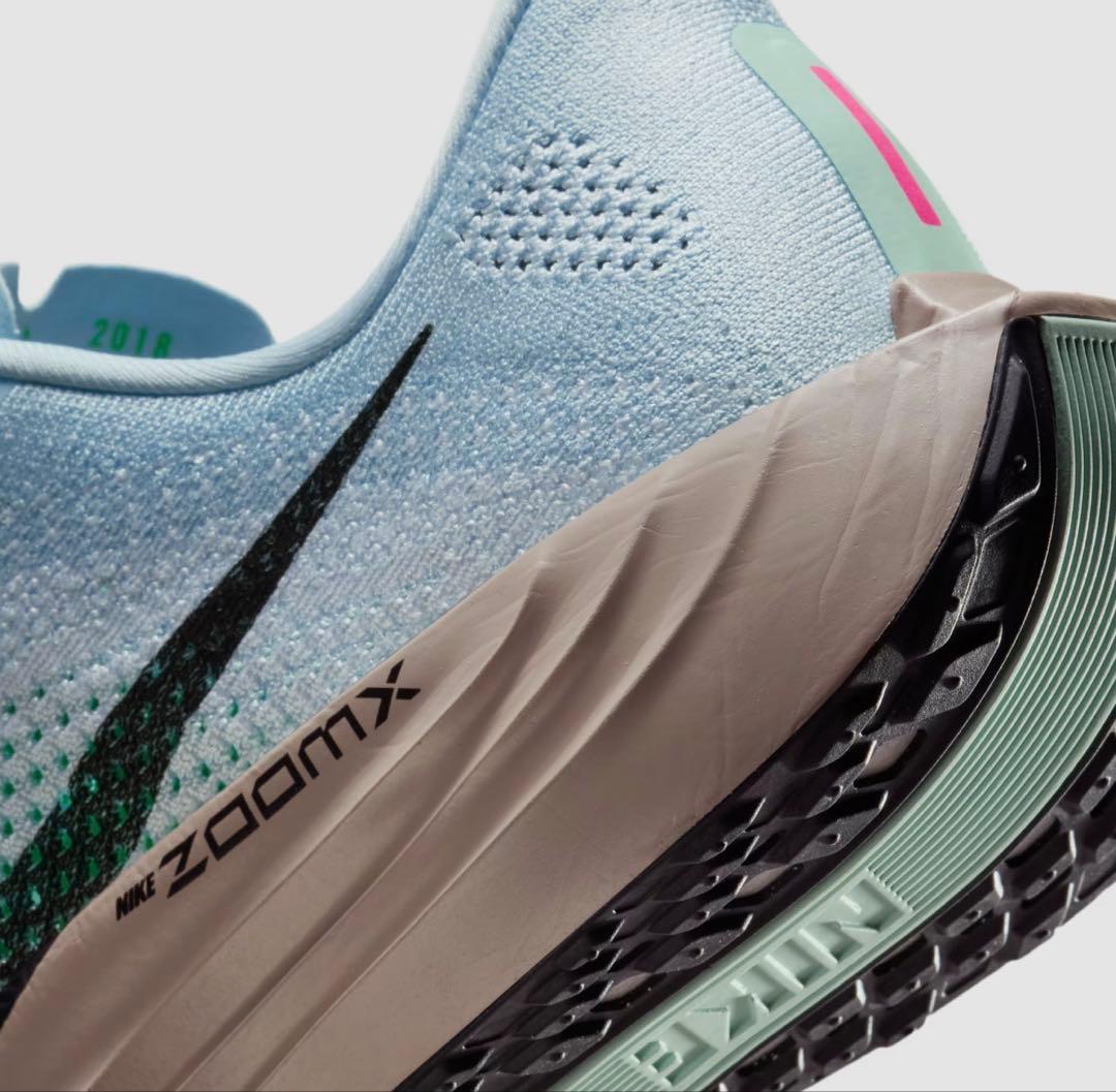 ナイキ ペガサス プラス　29.0