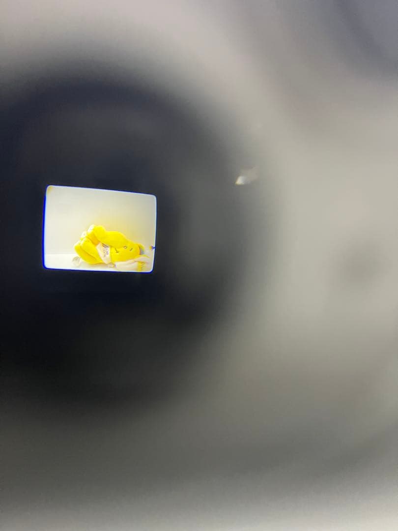 （極美品）名機 PENTAX Optio 750Z 自撮り2種類の充電器付き