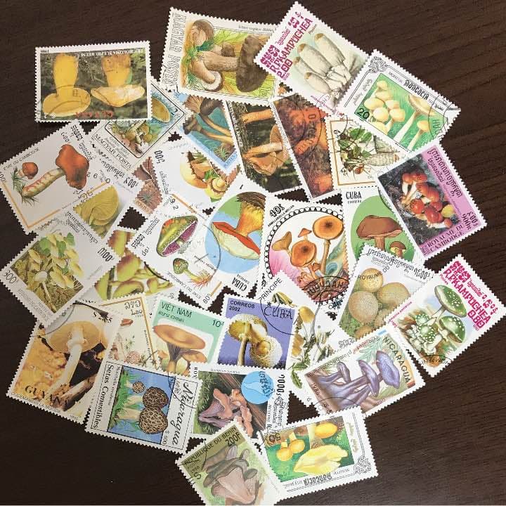 きのこ 切手 ②