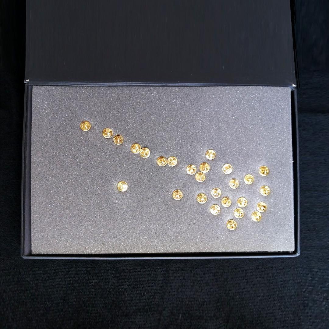 【限定品】ハードロックカフェ 30周年記念 ピンバッジ 14個組 BOX セット