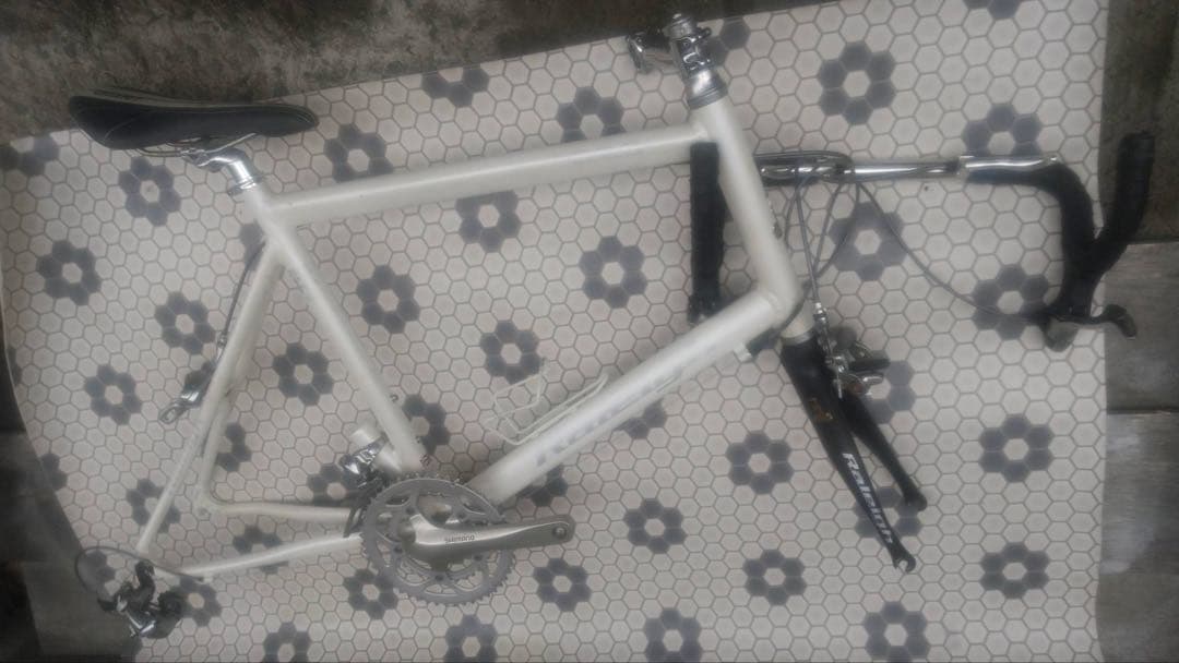 Raleigh ラレー 20インチアルミフレーム