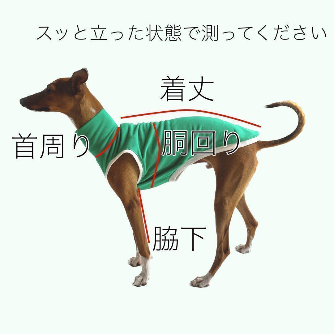 チコリ 　イタグレ服　ロンパース　スウェット レオパード　5点