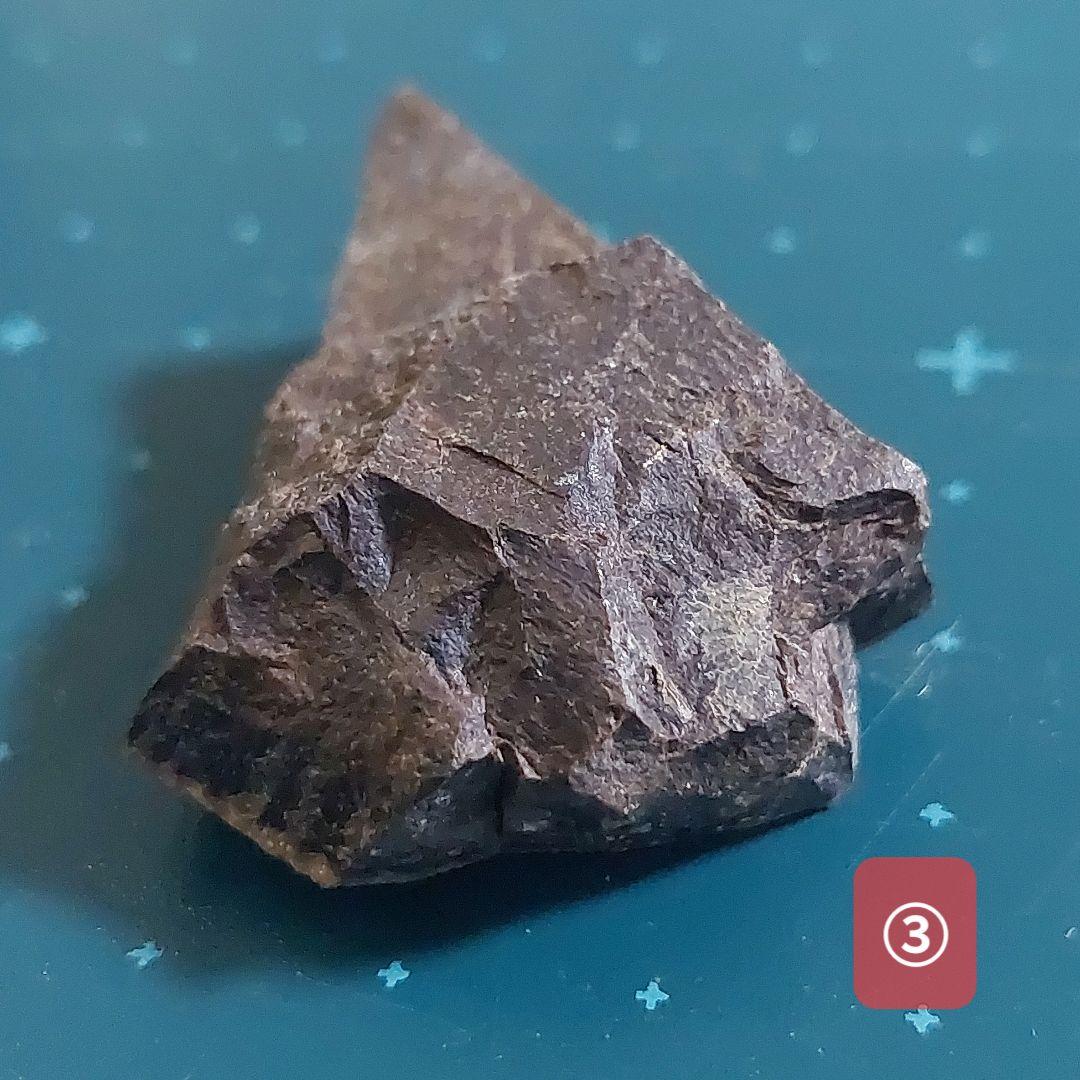 【未使用】カナダ　アルバータ州　恐竜　骨　化石　ティラノサウルス