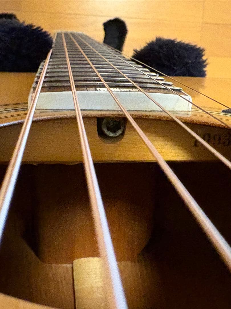 【美品】【送料込】Morris モーリス MD-507 アコースティックギター