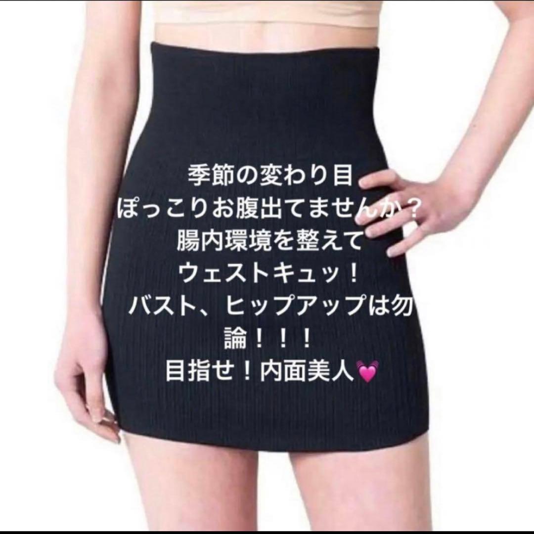 フェレナ　Fealena リフトサポーター (ウエスト&ヒップ用)