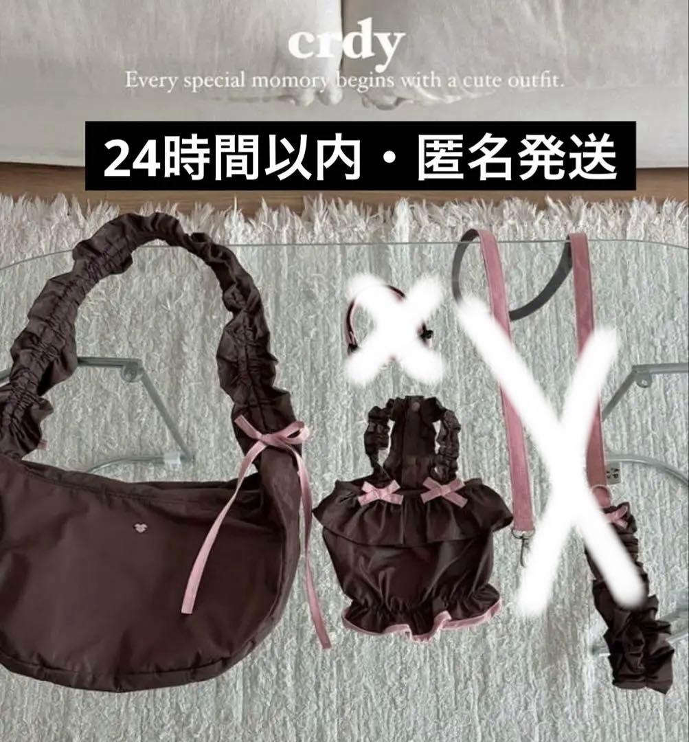 『匿名発送』COZYROSYDAY bag cocoa bustier セット