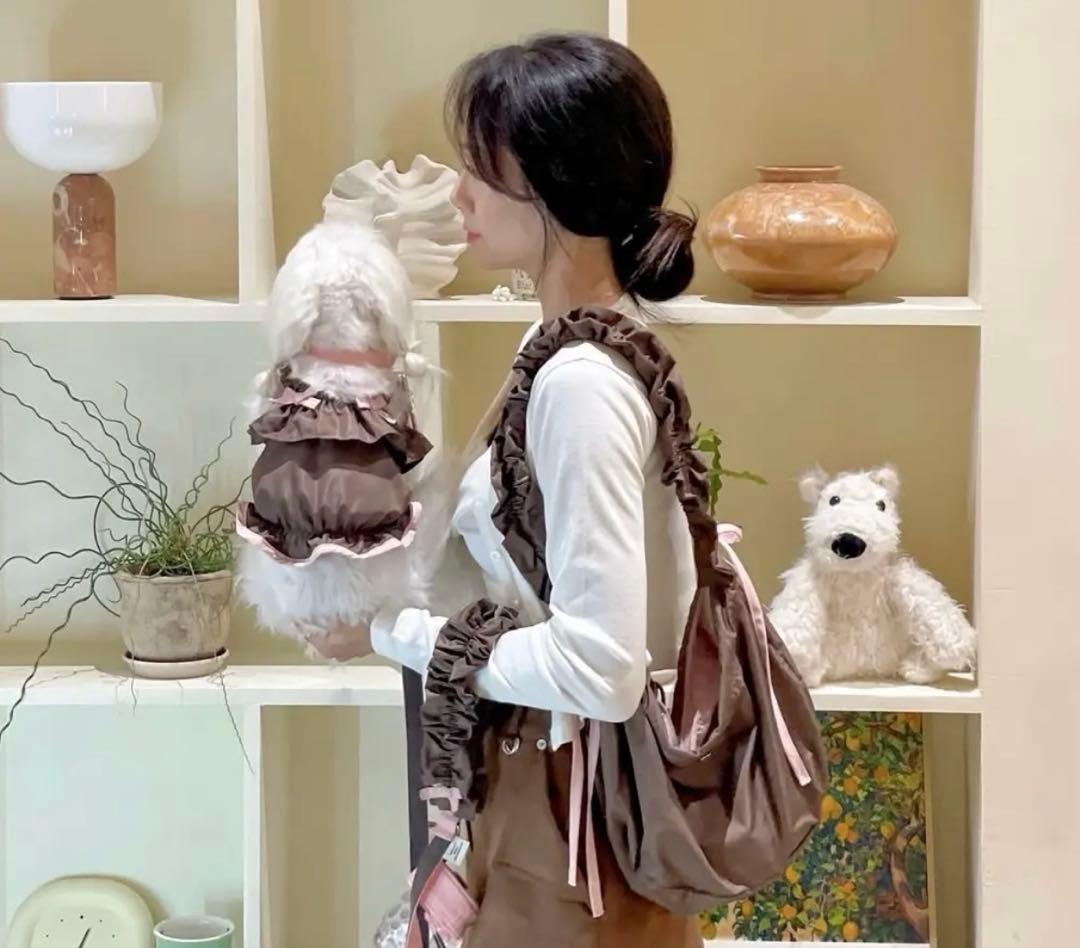 『匿名発送』COZYROSYDAY bag cocoa bustier セット