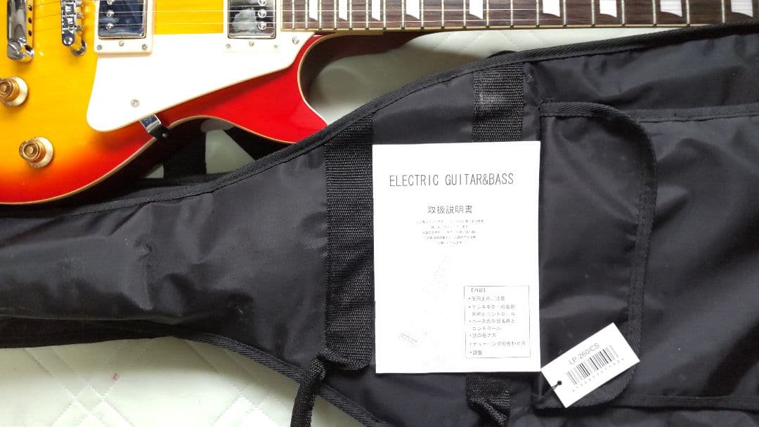 フォトジェニック レスポールタイプ