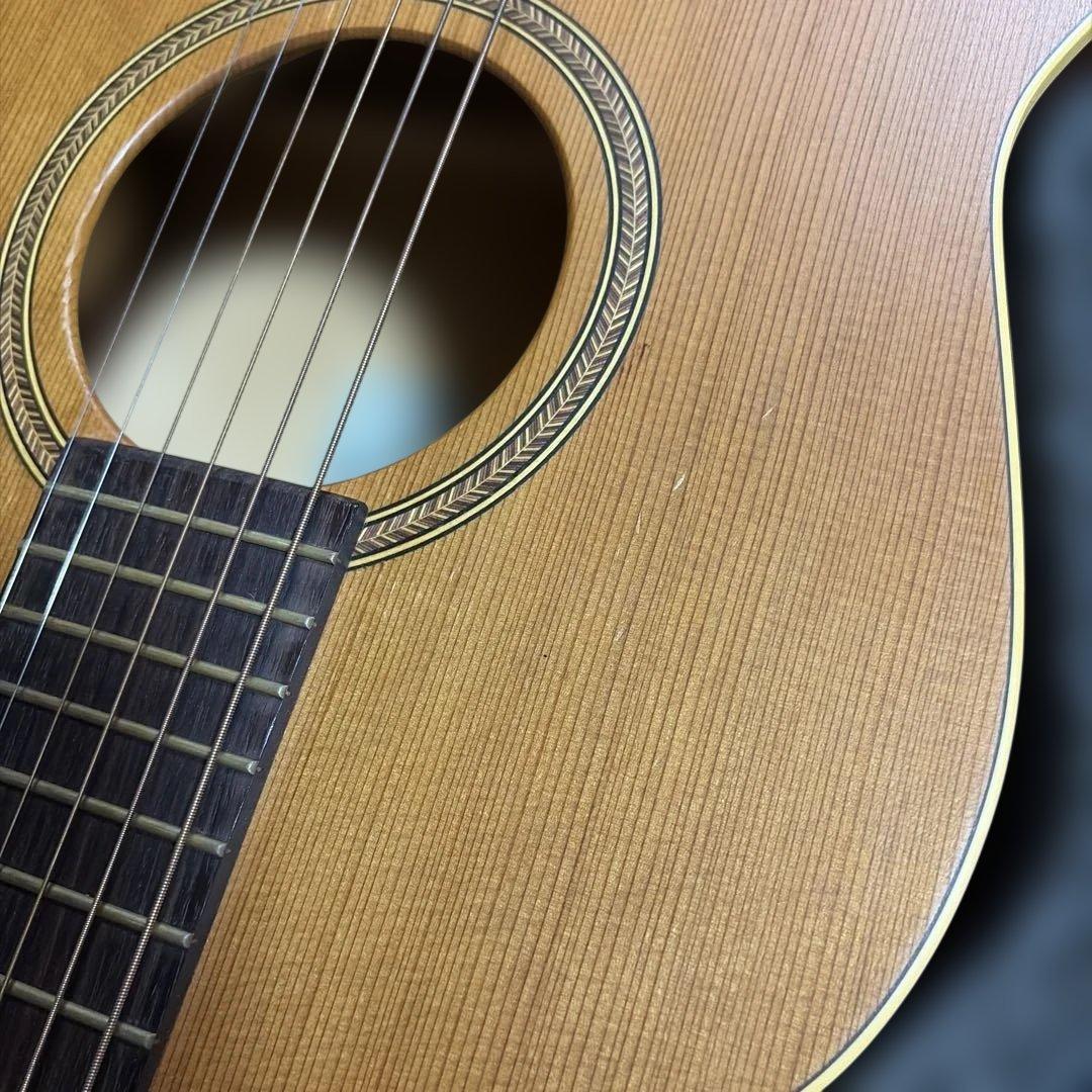 アコースティックギター ハードケース付き　シーガル　S6＋FOLK