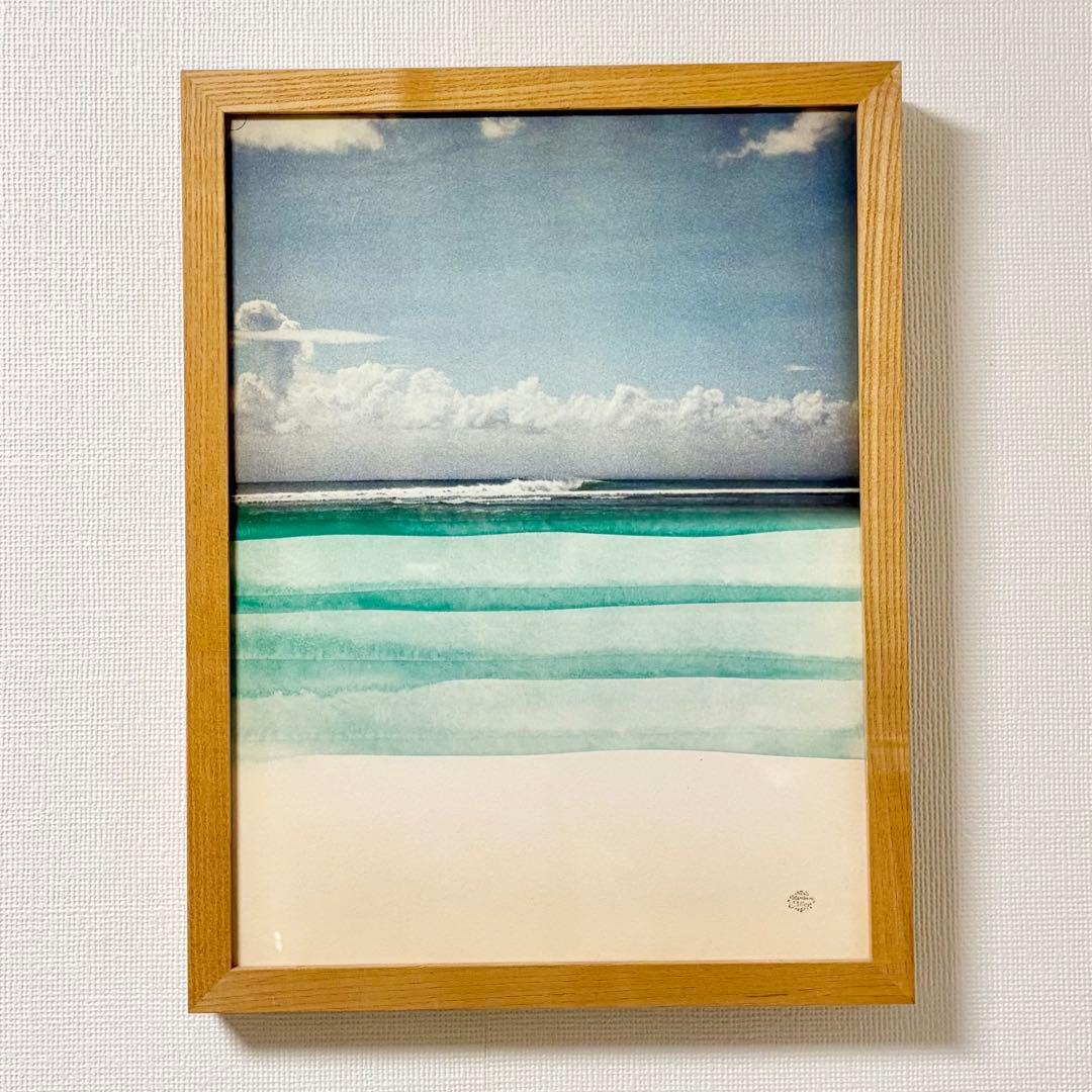 【ねずこ】Matthew Allen GREEN SHORE マシューアレ