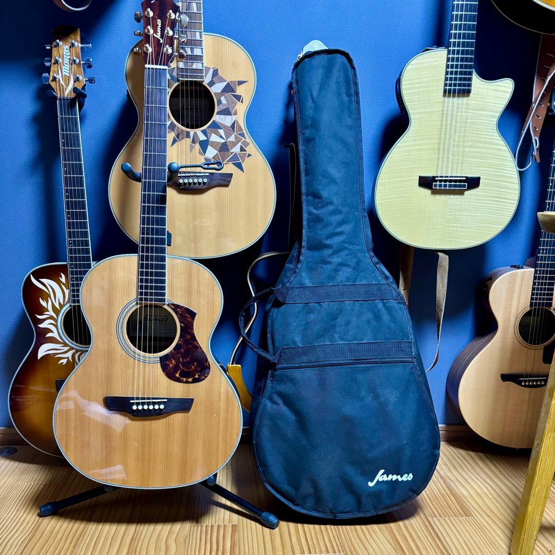 【美品エレアコ】James J500A/ova トップ単板　ソフトケース付き