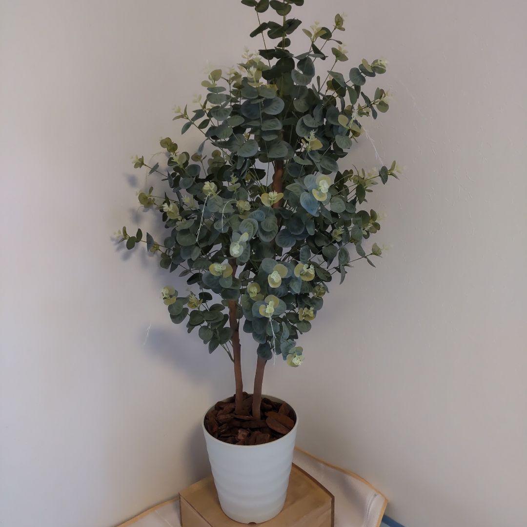 ユーカリの木130cm タイプ！銀丸葉 ！ 大型フェイクプランツ！ 未使用！
