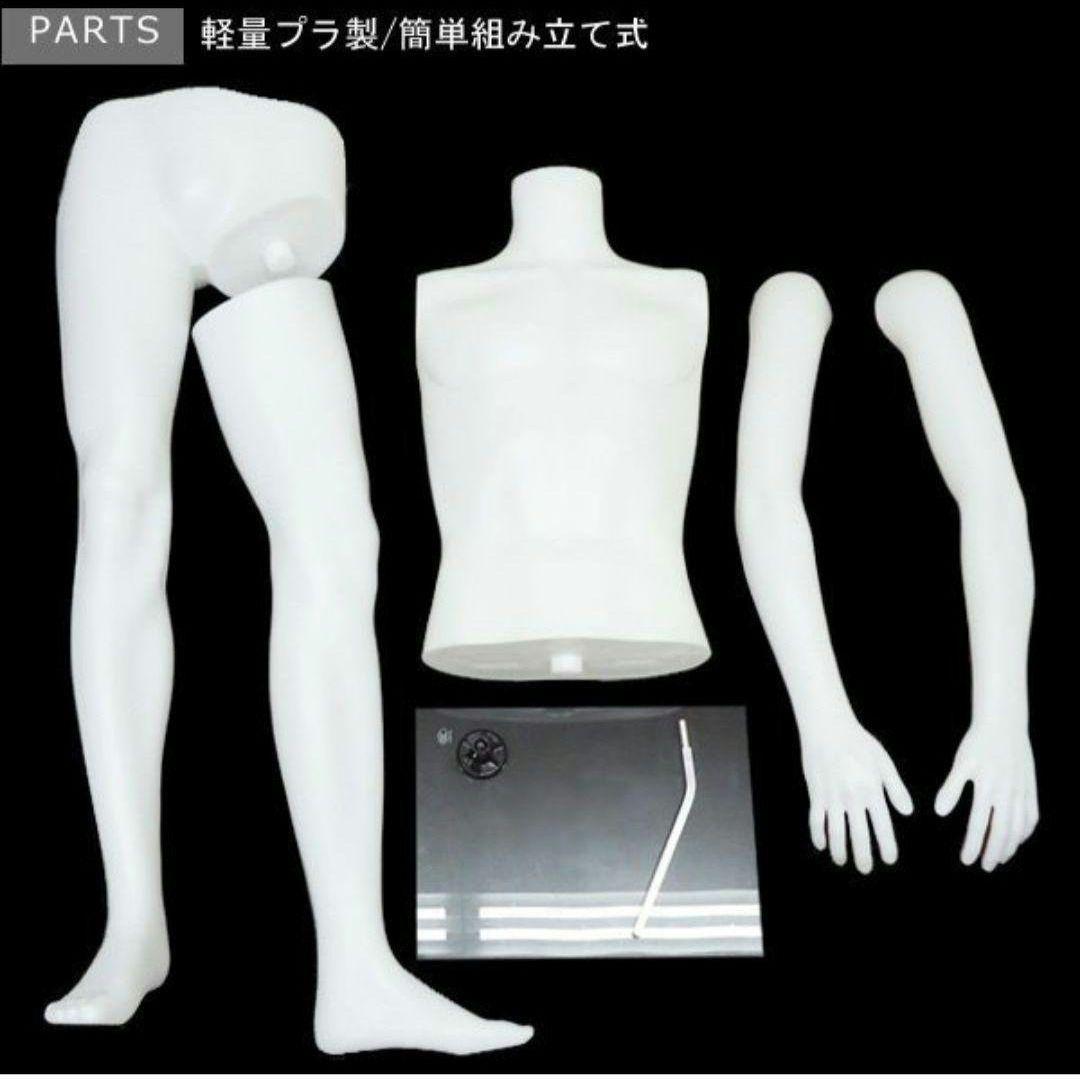 メンズ ヘッドレスマネキン 白1 男性 軽量 マッチョボディー 水洗い可